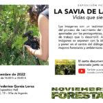 Mujeres del sector forestal y ambiental protagonizan la muestra que llega a Ingenio con ‘Noviembre Forestal’