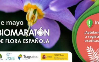 Se anima a la ciudadanía a participar en la III Edición del Biomaratón de Flora Española promovido por la SEBOT