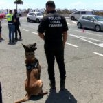 Las policías locales se forman para trabajar en coordinación con guías caninos