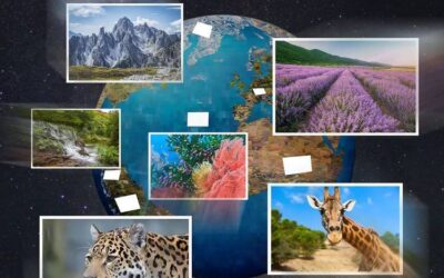 ‘La Hora del Planeta’ nos invita este 22 de marzo a apagar la luz para defender el medio ambiente