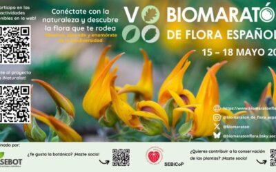 El V Biomaratón de Flora Española te invita a descubrir tu entorno del 15 al 18 de mayo