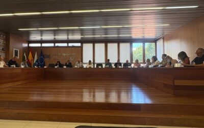 Pleno Extraordinario y Urgente en el Ayuntamiento de Ingenio