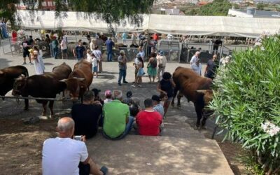Ingenio recorre las calles en procesión junto a San Pedro y San Pablo