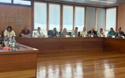 Celebrado este lunes el Pleno Ordinario del mes de junio del Ayuntamiento de Ingenio