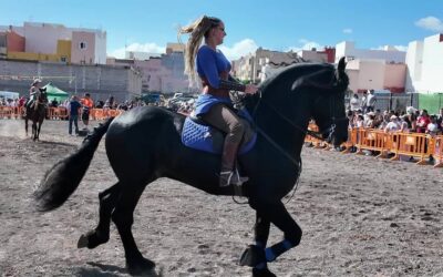 Cientos de personas asisten a la celebración del Día del Caballo en Ingenio