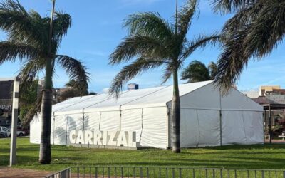 Una semana repleta de propuestas para vivir la Navidad