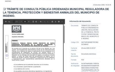 Se abre un proceso participativo para actualizar la ordenanza municipal de bienestar animal