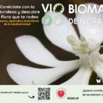 El Biomaratón de Flora Española celebra del 15 al 18 de mayo su sexta edición