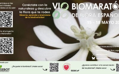 El Biomaratón de Flora Española celebra del 15 al 18 de mayo su sexta edición