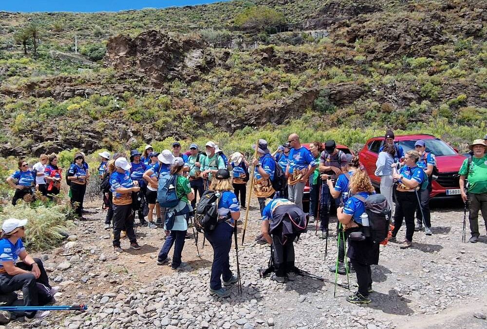 El Encuentro Anual de Senderismo de Gran Canaria reúne a cerca de 450 personas participantes en la Villa de Ingenio
