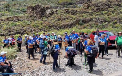 El Encuentro Anual de Senderismo de Gran Canaria reúne a cerca de 450 personas participantes en la Villa de Ingenio