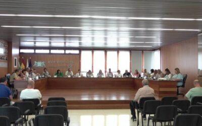 El Pleno de Ingenio sigue impulsando el futuro centro sociosanitario de El Mondragón