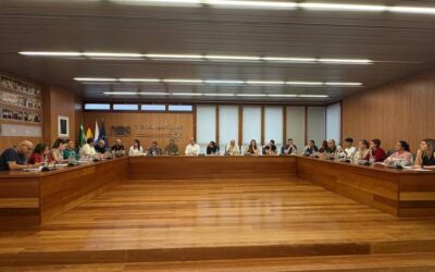 El Consejo Escolar Municipal de Ingenio aborda nuevas propuestas educativas