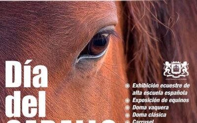 Nueva edición del Día del Caballo en la Villa de Ingenio este domingo, 25 de octubre