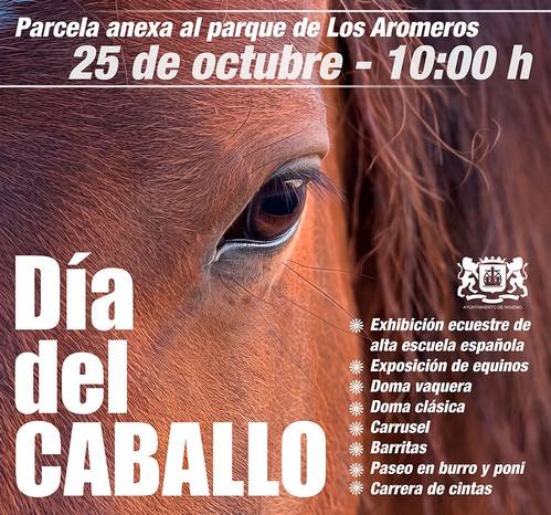 Nueva edición del Día del Caballo en la Villa de Ingenio este domingo, 25 de octubre